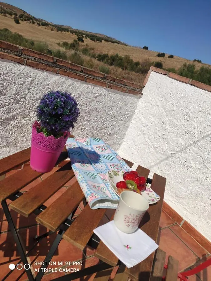 Bed and Breakfast El Lagar De Pepe à Casabermeja Espagne