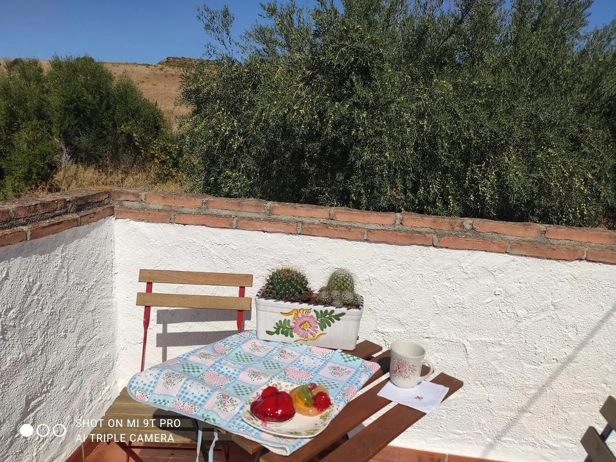 El Lagar De Pepe Bed & Breakfast Casabermeja