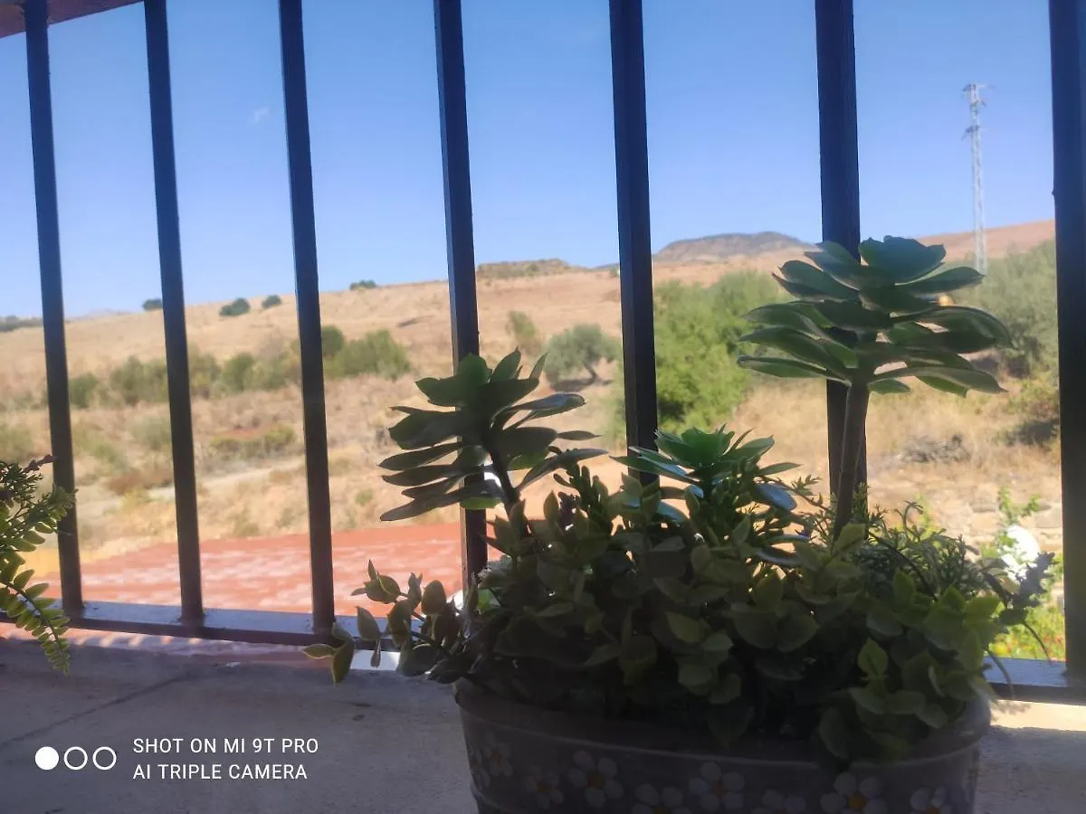 El Lagar De Pepe Bed & Breakfast Casabermeja